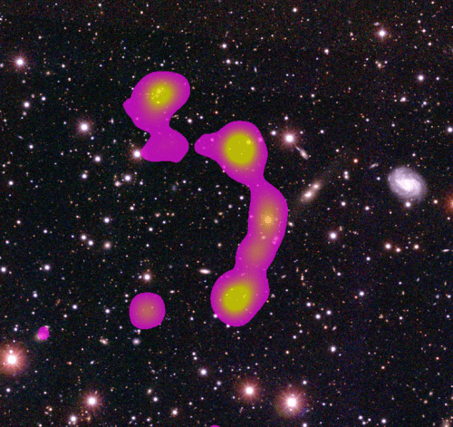 The wide-angle tail galaxy discovered by Terentev and Matorny is one of the largest known, and its host cluster is now known as the Matorny-Terentev cluster. Credit: Radio Galaxy Zoo.