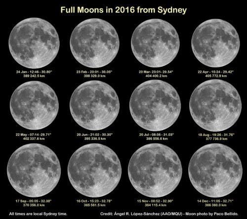 Illustration: Full Moons in 2016 as seen from Sydney. All the full moons in 2016, scaled in size following the Moon's apparent size as seen from Sydney. The micromoon corresponds to 22nd Apr (top right) and the thre supermoons are 16 Oct, 14 Nov (15 Nov Sydney time) and 14 Dec. This is an illustration, not real photos taken from Sydney (I can't travel to the future!). The original Moon image is the photo of the "micromoon" that Spanish astrophotographer Paco Pellido took on 5 March 2015 from Córdoba, Spain, which is the image I use in this post. The image without labels is here. A high resolution image is available in my Flickr. Credit: Ángel R. López-Sánchez. Moon photo credit: Paco Bellido.