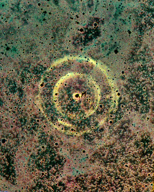 Figure 7. The light echo of supernova 1987A. When supernova 1987A was seen to explode in the Large Magellanic Cloud, the Milky Way's nearest companion galaxy, the brilliant flash of light from the self-destructing star had taken about 170,000 years to arrive at the telescope. Some light was deflected by two sheets of dust near the supernova, and is seen after the star has faded away because the reflected light covers a longer path to reach us. The dust responsible for the rings seen here lies in two distinct sheets, about 470 and 1300 light years from the supernova, close to our line of sight to it. The colour picture was made by photographically subtracting negative and positive images of plates of the region taken before and after the supernova appeared. The only major difference between them is the light echo itself. However, the bright stars do not cancel perfectly and appear black, while in other, bright parts of the image, the photographic noise does not cancel either. Despite this the image is an accurate reproduction of the colour of the extremely faint light echo, which in turn reflects the yellow colour of the supernova when it was at its brightest, in May, 1987. Photo and text credit: David Malin (AAO).